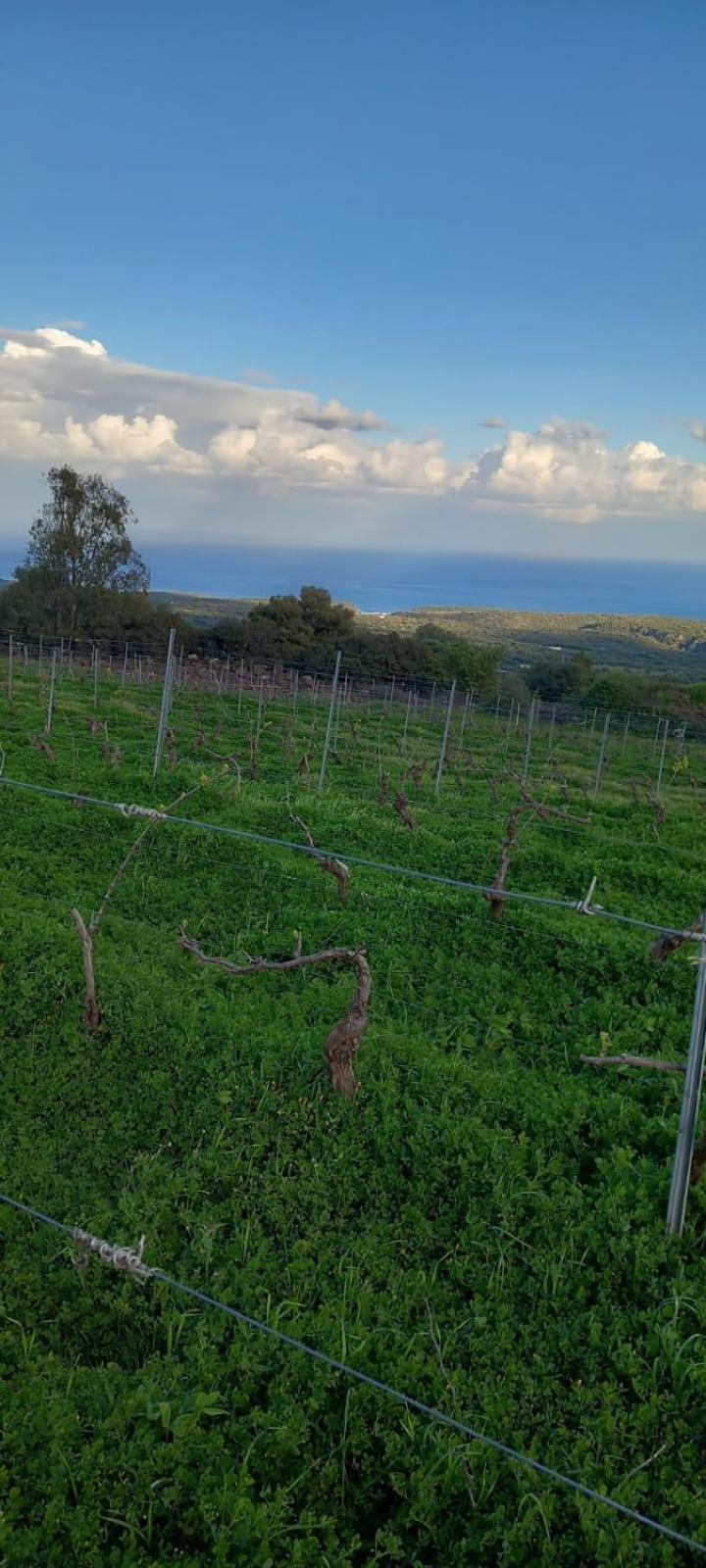 Agriturismo Su Tiresi カーラゴノネ エクステリア 写真