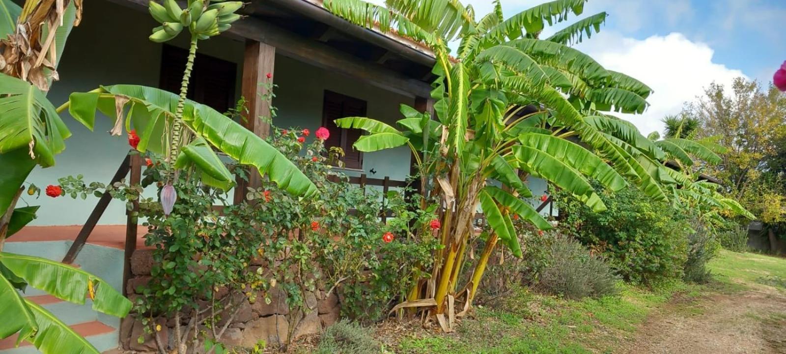 Agriturismo Su Tiresi カーラゴノネ エクステリア 写真